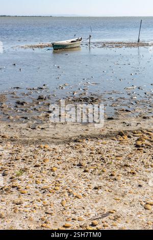 Camargue: Piccola barca da pesca ormeggiata su un palo su una spiaggia con la bassa marea. Foto Stock