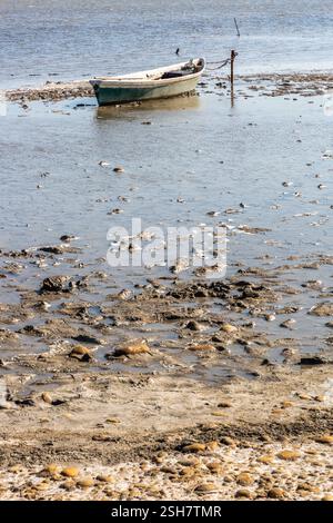 Camargue: Piccola barca da pesca ormeggiata su un palo su una spiaggia con la bassa marea. Foto Stock