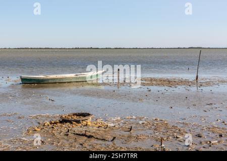 Camargue: Piccola barca da pesca ormeggiata su un palo su una spiaggia con la bassa marea. Foto Stock