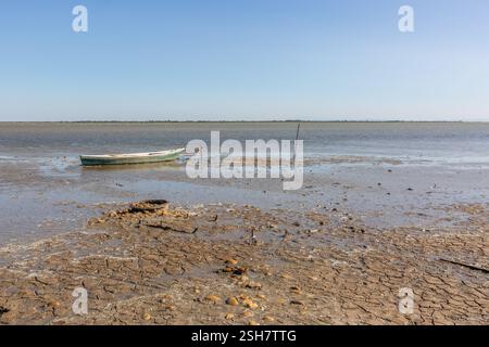 Camargue: Piccola barca da pesca ormeggiata su un palo su una spiaggia con la bassa marea. Foto Stock