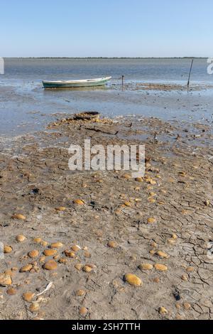 Camargue: Piccola barca da pesca ormeggiata su un palo su una spiaggia con la bassa marea. Foto Stock