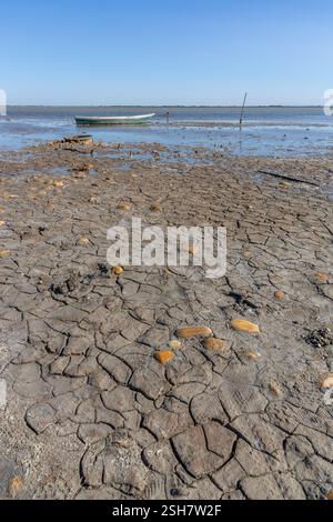 Camargue: Piccola barca da pesca ormeggiata su un palo su una spiaggia con la bassa marea. Foto Stock
