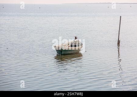 Camargue: Piccola barca da pesca ormeggiata su un palo su una spiaggia con la bassa marea. Foto Stock