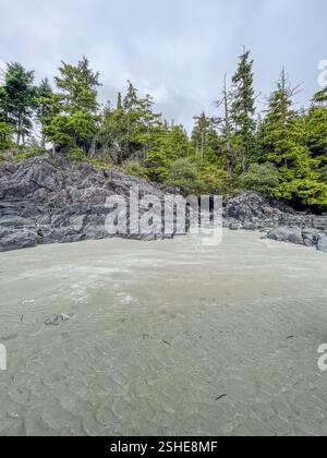 Una combinazione panoramica di spiaggia rocciosa e fitta foresta sempreverde, ideale per avventure, ecoturismo e temi fotografici naturalistici. Foto Stock
