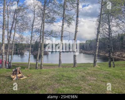 Un tranquillo lago incorniciato da alberi di betulla sotto un cielo parzialmente nuvoloso, caratterizzato da una piccola pila di legna da ardere. Ideale per la natura, i viaggi e le fotografie in campeggio. Foto Stock
