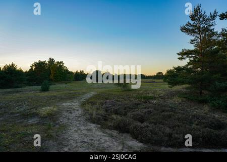 Un paesaggio mozzafiato immerso nella calda luce dorata, con spettacolari nuvole che si estendono attraverso il cielo Foto Stock