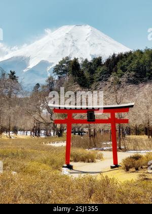Monte Fuji innevato in Giappone all'inizio della primavera. Tipico paesaggio giapponese con l'iconico Fujisan e la tradizionale porta rossa Torii in primo piano. Foto Stock