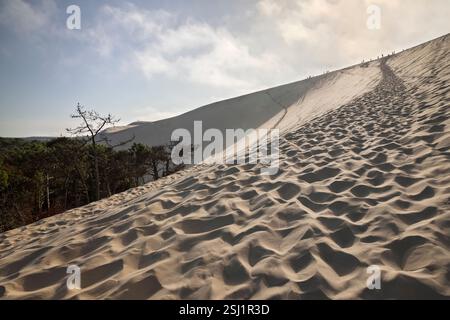 Dune du Pilat alla luce del sole nel tardo pomeriggio, Arcachon, dipartimento della Gironda, Nouvelle-Aquitaine, Francia, Europa Foto Stock