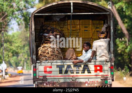 Lavoratore indiano seduto sul retro di un camion Tata sulla strada in India. Foto Stock