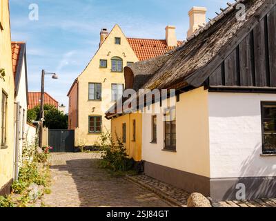 Strada stretta Hollandsfed con case storiche nella città vecchia di Dragør, isola di Amager, regione della capitale, Danimarca Foto Stock