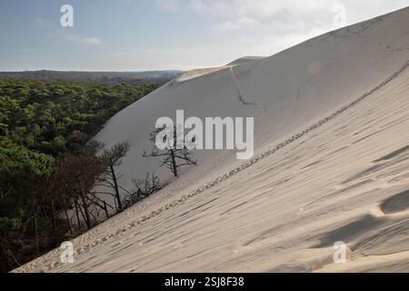 Dune du Pilat alla luce del sole nel tardo pomeriggio, Arcachon, dipartimento della Gironda, Nouvelle-Aquitaine, Francia, Europa Foto Stock