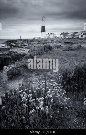 Ritaglio monocromatico del faro di Portland Bill Foto Stock