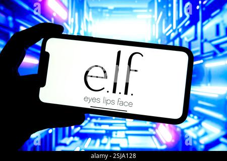 In questa immagine, sullo schermo di uno smartphone viene visualizzato il logo Estee Lauder. Foto Stock