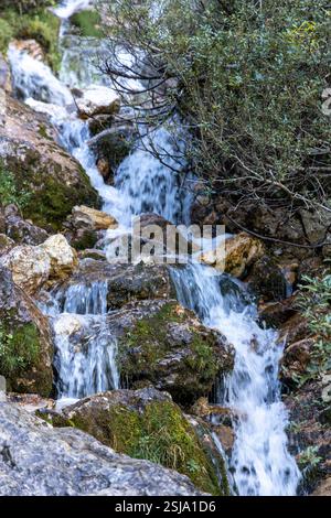 I torrenti di montagna scendono su rocce muschiate, circondati da vegetazione alpina, creando un flusso naturale e vibrante di acqua nelle Dolomiti Foto Stock