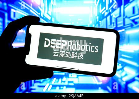 Cina. 11 febbraio 2025. In questa immagine, sullo schermo di uno smartphone viene visualizzato un logo di doximity. (Immagine di credito: © Sheldon Cooper/SOPA Images via ZUMA Press Wire) SOLO PER USO EDITORIALE! Non per USO commerciale! Foto Stock