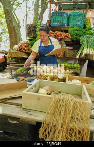 Donna disabile al mercato agricolo Foto Stock
