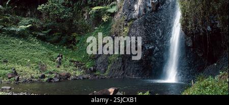 Gauguin - Voyage de Tahiti anno : 2017 Francia Direttore : Edouard Deluc Foto Stock