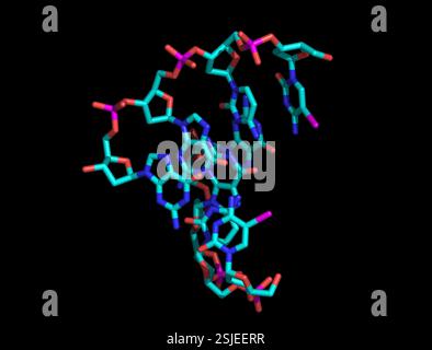 Molecola di DNA modello Foto Stock