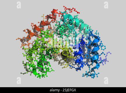 Fermentazione dell'acido lattico come modello molecolare Foto Stock