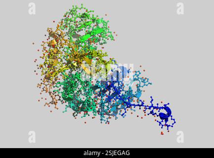 Fermentazione dell'acido lattico come modello molecolare Foto Stock