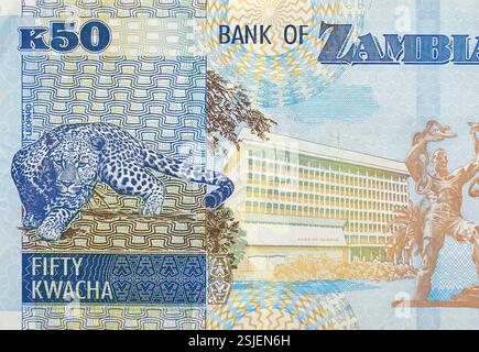 Banconota da cinquanta (50) kwacha zambesi, Zambia, Africa Foto Stock