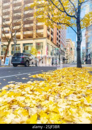 Una scena autunnale sulla strada di Portland, Oregon, mostra un tappeto di foglie gialle cadute sul marciapiede e sulla strada. Foto Stock