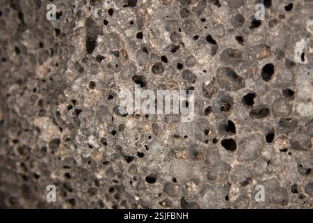 Pomice porosa grigia come roccia ignea vulcanica Foto Stock
