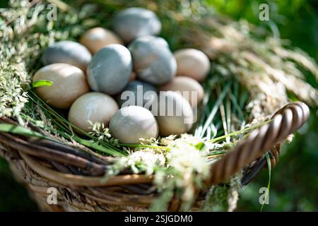 Grande cestino di vimini ripieno di uova di pasqua color pastello. Primo piano dall'alto con una profondità di campo ridotta. Sfondo pasquale. Foto Stock