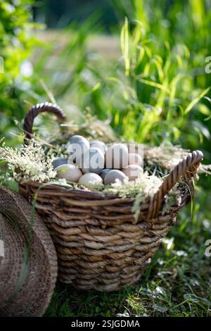 Grande cesto di vimini pieno di uova di pasqua color pastello e un cappello di paglia su un prato soleggiato. Sfondo verticale per un picnic di pasqua all'aperto con spazio per testo. Foto Stock