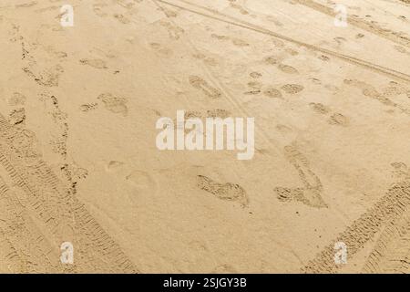 Tracce di pneumatici e impronte di scarpe sul terreno sabbioso della spiaggia di Lakolk, sull'isola di Römö, Danimarca Foto Stock