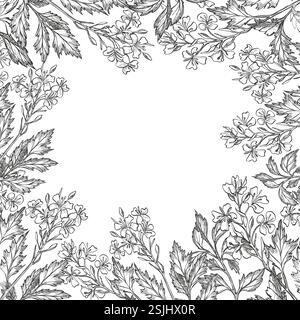 Struttura vettoriale con fioritura di piante di senape. Illustrazione floreale grafica. Schizzo botanico a inchiostro disegnato a mano. Perfetto per condire il confezionamento, con logo verde Illustrazione Vettoriale