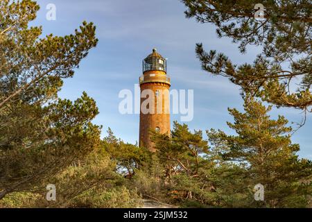 Il faro di Darßer Ort sulla punta della penisola di Fischland-Darß-Zingst vicino a Prerow, Meclemburgo-Vorpommern, Germania Foto Stock