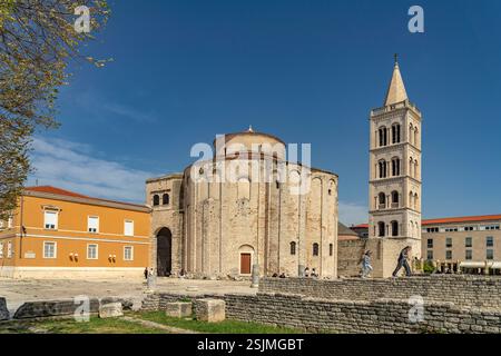 La Chiesa di San Donato, i resti del foro Romano e il campanile della Cattedrale di Zara, Croazia, Europa Foto Stock