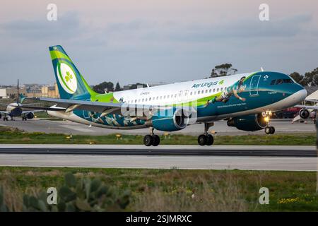 Aer Lingus Airbus A320-214 (Reg.: EI-DEG) nella livrea speciale dell'Irish Rugby Team che arriva subito dopo il tramonto da Dublino. Foto Stock