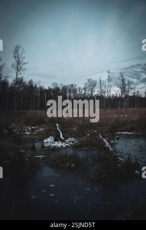 Riserva naturale di Wittmoor nello Schleswig-Holstein, Germania Foto Stock