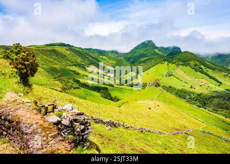 Verde e lussureggiante paesaggio tropicale di montagne sull'isola Flores, Azzorre, Portogallo Foto Stock