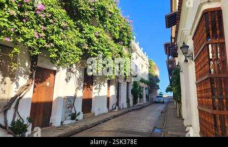 Le mura della città vecchia di Colombia Cartagena - Cartagena El Centro - via delle case colorate Foto Stock