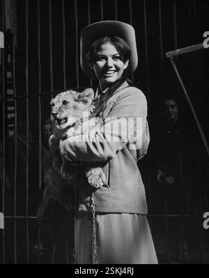 --- Claudia Cardinale in 'Circus World' 1964#Claudia Cardinale in 'Circus World' 1964- RDB DI DUKAS Foto Stock
