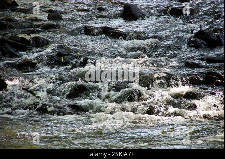 L'acqua scorre su rocce lisce, scintillanti alla luce del sole. L'acqua scende dalle rocce, creando un'affascinante dimostrazione del potere della natura. Il so Foto Stock