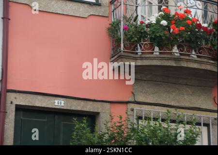 Parete rosa, balcone ornato con fiori colorati, porta verde scuro, Braga, Portogallo. Affascinante dimora urbana. Simbolo del patrimonio portoghese. Int Foto Stock