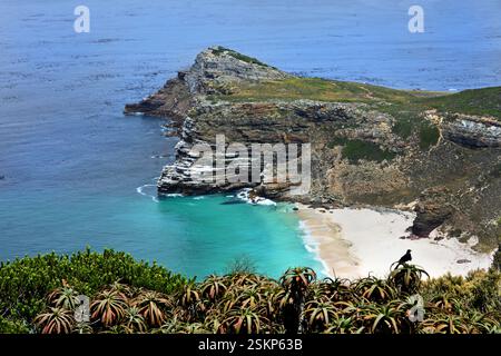 Cape of Good Hope, Cape Point, Cape Town, Western Cape, presso la riserva naturale Cape of Good Hope, il punto più a sud-ovest del continente africano. Foto Stock