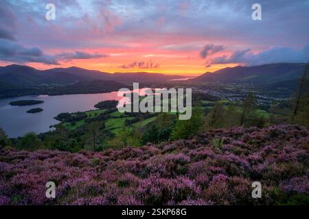 Splendido tramonto sul Lake District su Derwentwater con l'erica viola. Foto Stock
