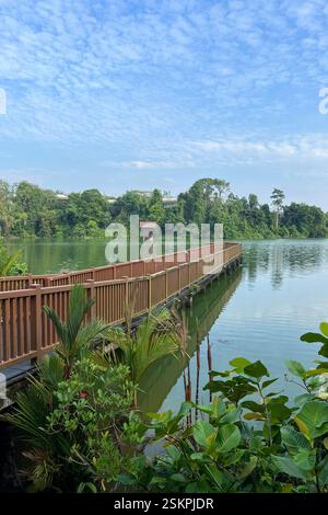 Nuovo lungomare di Mandai presso la riserva naturale di Mandai. Foto Stock