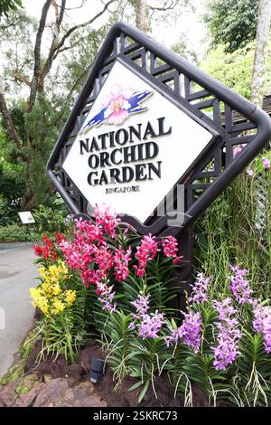 National Orchid Garden, Singapore Foto Stock