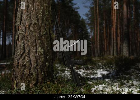 Un moderno fucile d'assalto russo con vista olografica si trova vicino a un albero in una foresta notturna. Foto Stock
