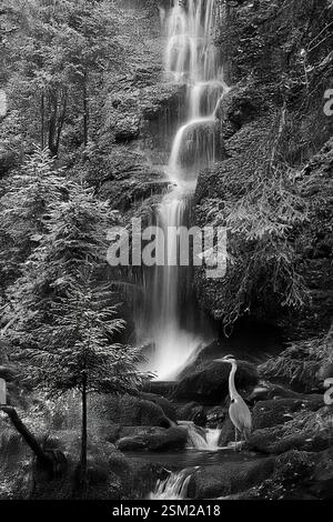 Raffigurazione romanticizzata di una cascata con rocce di granito in un paesaggio come il Waldviertel nella bassa Austria Foto Stock