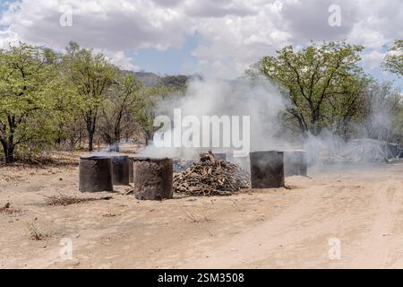 Impianto di produzione di carbone in verde campagna, girato alla luce della tarda primavera vicino a Ozongaka, Namibia, Africa Foto Stock