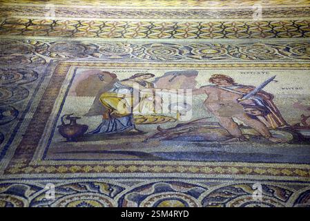 Gaziantep, Turchia. 22 giugno 2014. Zeugma Mosaic Museum, situato a Gaziantep, Turchia, è uno dei due musei di mosaico più grandi del paese. Foto Stock