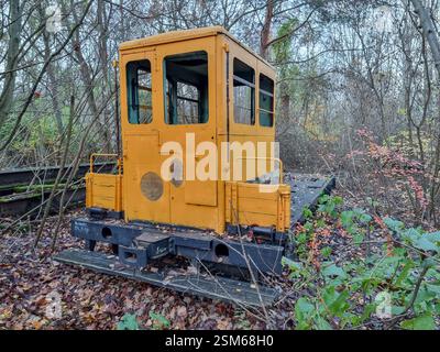 Storica locomotiva gialla nel Parco naturale di Schöneberger Südgelände sull'ex scalo ferroviario Tempelhof a Berlino, Germania Foto Stock