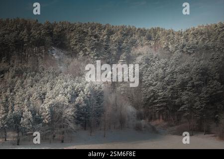 Un tranquillo paesaggio invernale caratterizzato da una foresta ricoperta di gelo su una collina illuminata dal sole Foto Stock